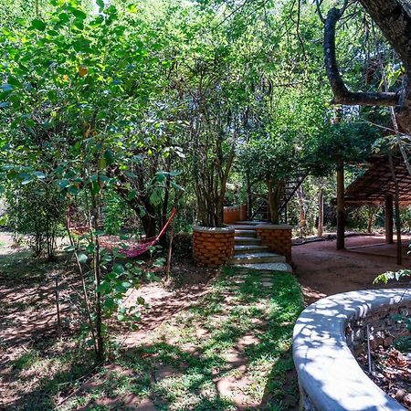 סיגירייה The Thick Forest מראה חיצוני תמונה