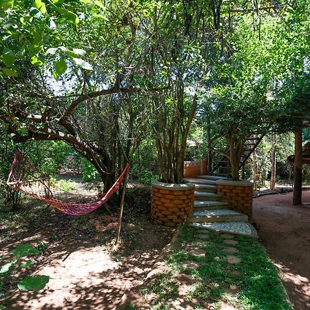 סיגירייה The Thick Forest מראה חיצוני תמונה