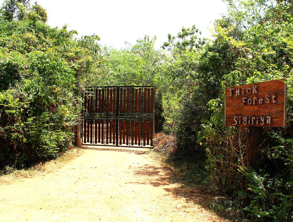 סיגירייה The Thick Forest מראה חיצוני תמונה
