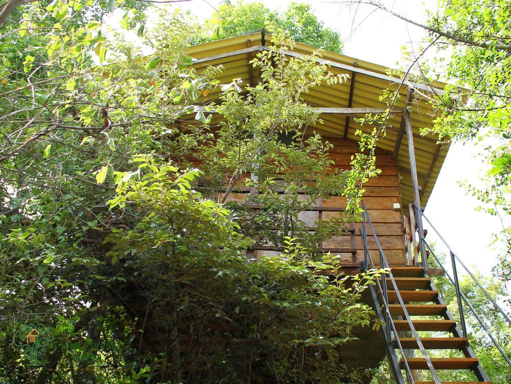 סיגירייה The Thick Forest חדר תמונה