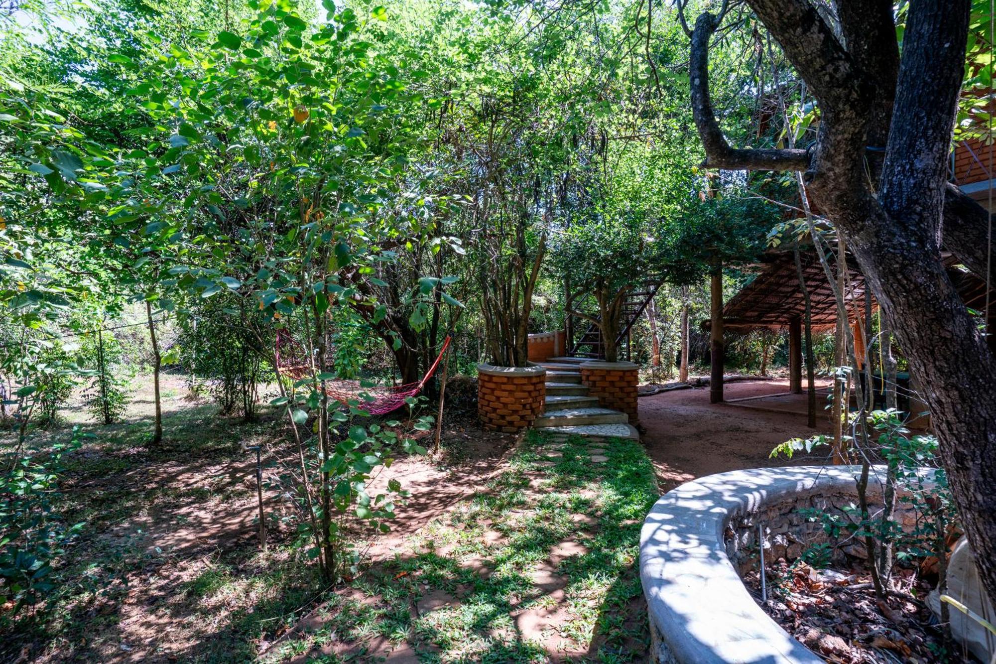 סיגירייה The Thick Forest מראה חיצוני תמונה