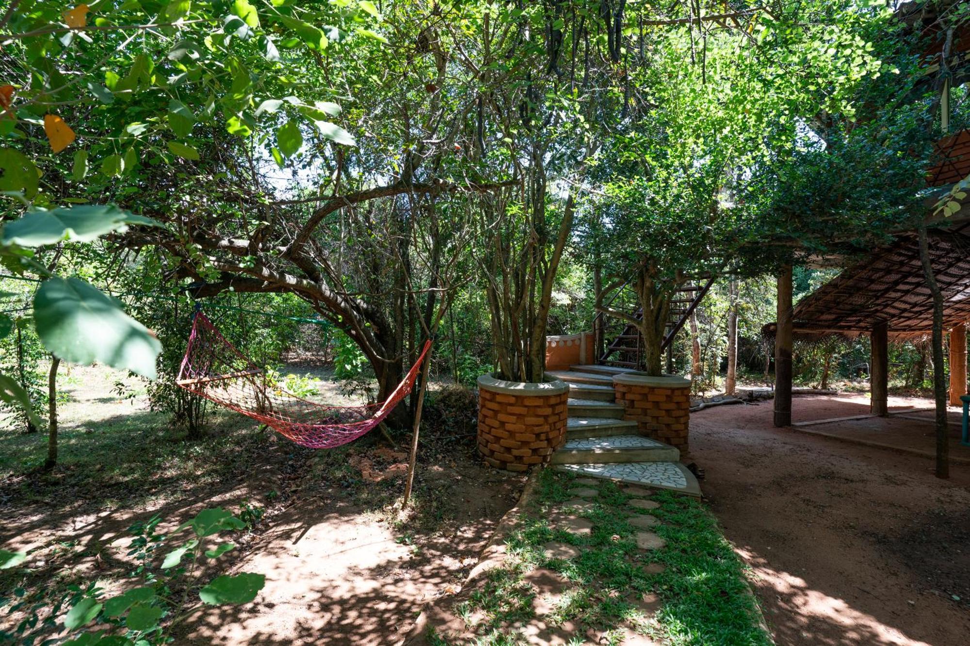 סיגירייה The Thick Forest מראה חיצוני תמונה