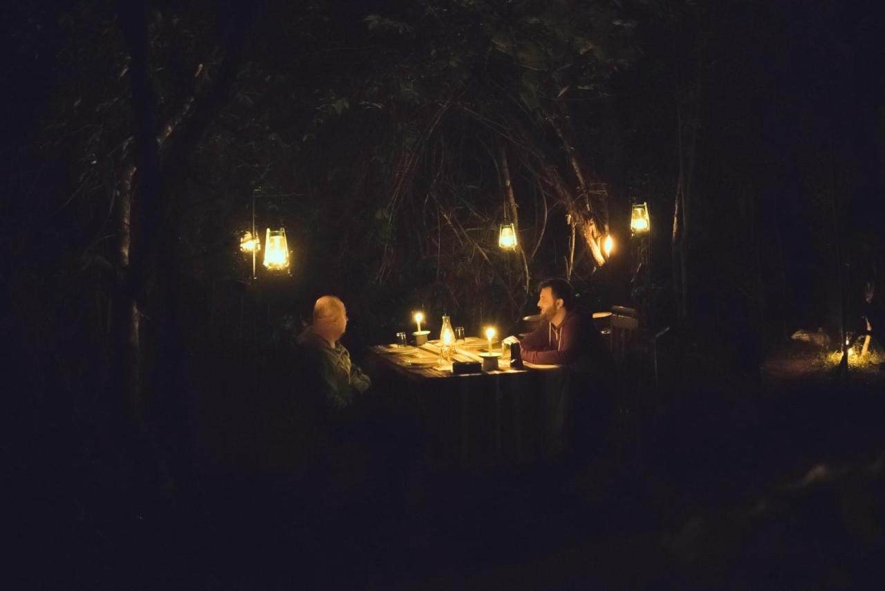 סיגירייה The Thick Forest מראה חיצוני תמונה