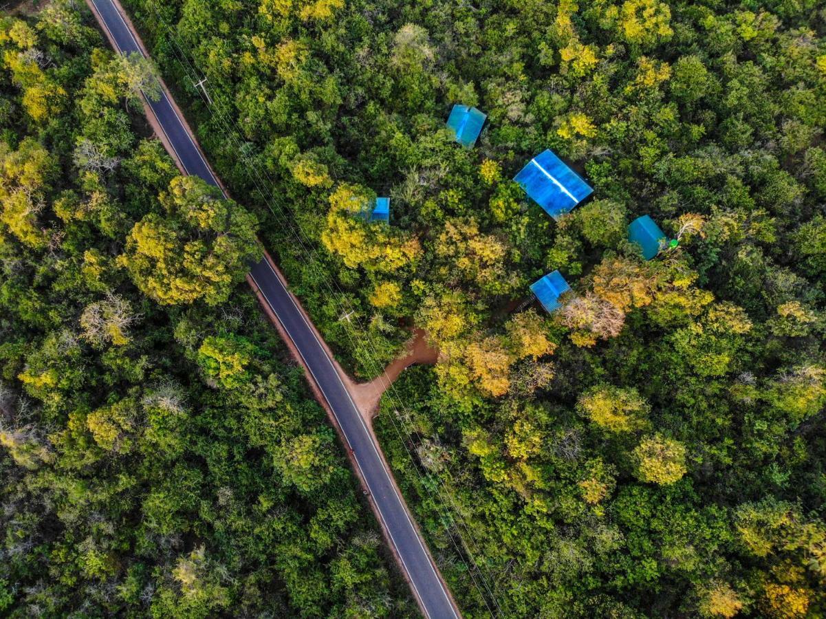 סיגירייה The Thick Forest מראה חיצוני תמונה